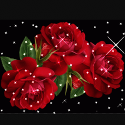 ������ ������� ����