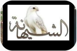 الصورة الرمزية الشيهــآنه